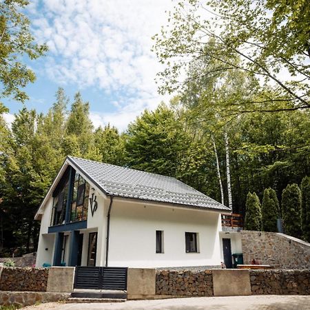Vila Blanc Valiug Crivaia Exterior foto