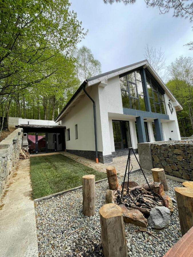 Vila Blanc Valiug Crivaia Exterior foto