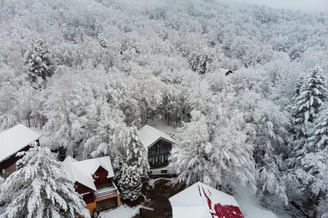 Vila Blanc Valiug Crivaia Exterior foto